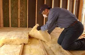 Best Insulation Removal  in Genoa, AR